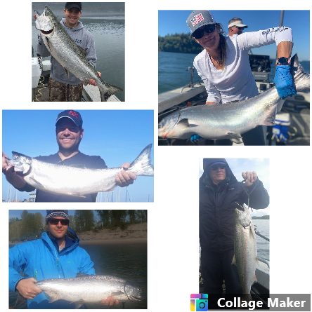 Salmon Fishing Charter trips