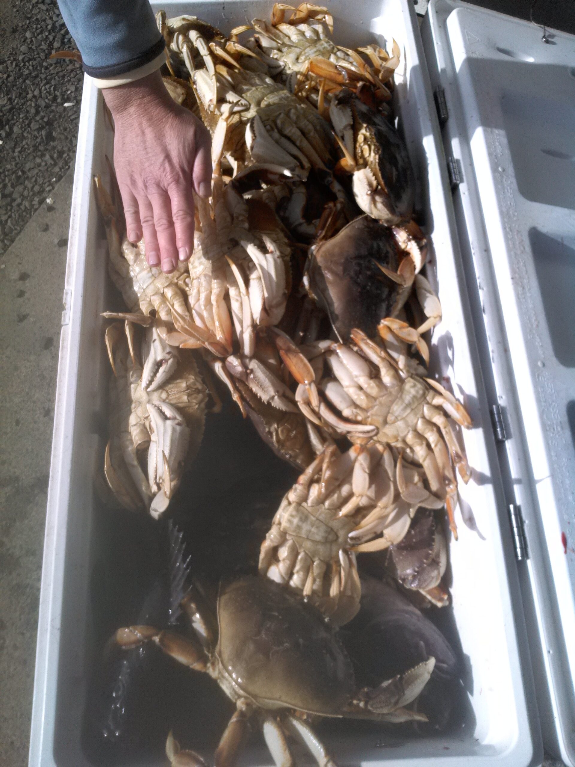 Crab fishing charter Oregon coast