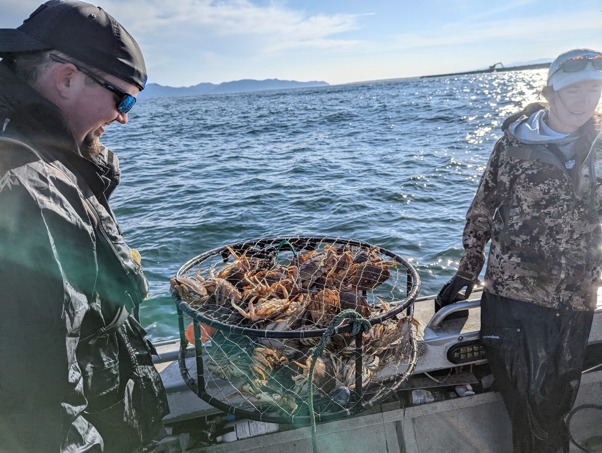 Dungeness crab Oregon coast