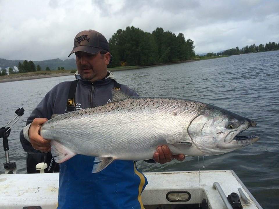 Columbia River Spring Chinook Salmon